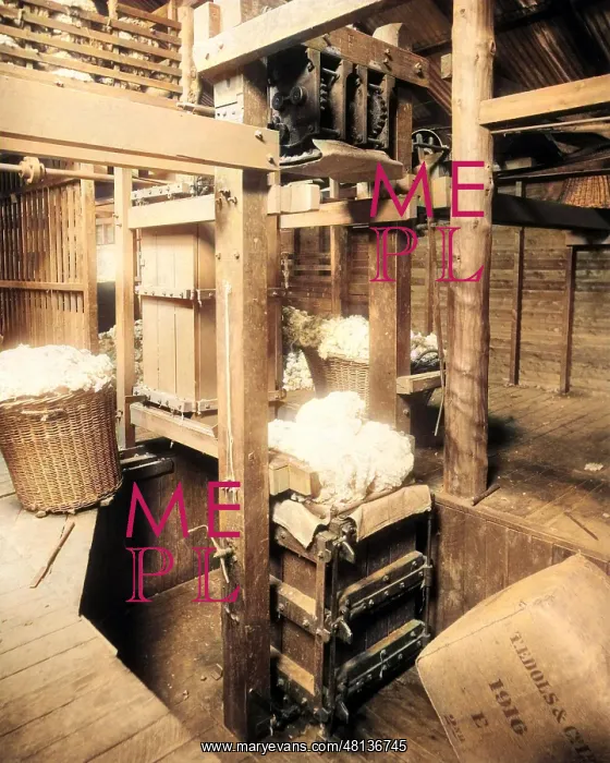 : Baling fleeces, Burrawang, Australia : Baling fleeces, Burrawang, Australia