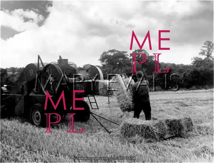 : BALING STRAW 1930S : BALING STRAW 1930S