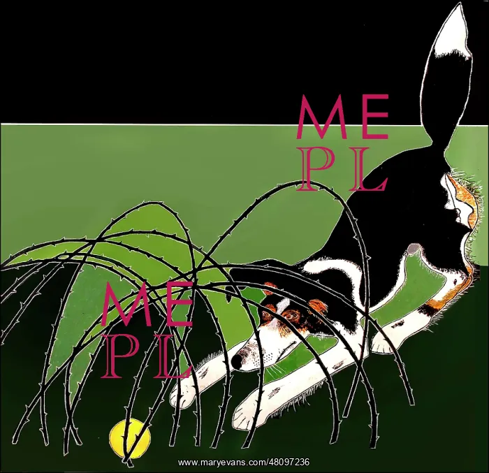  : Ball and Brambles