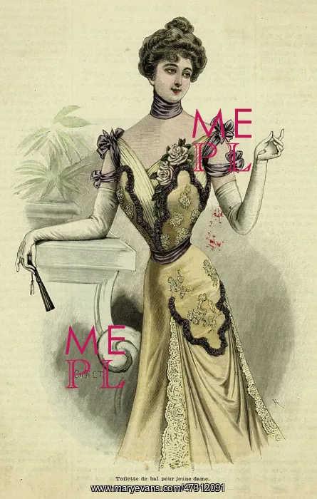 : BALL DRESS 1899 : BALL DRESS 1899