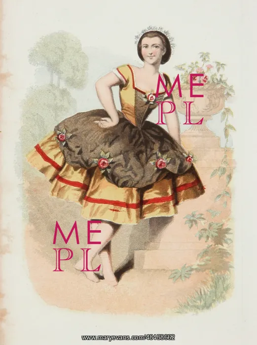  : Ballerina. A pretty ballerina poses wearing a black, yellow and red rose-trimmed costume