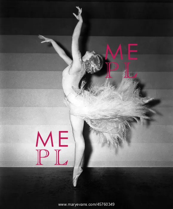: Ballerina in Arabesque : Ballerina in Arabesque