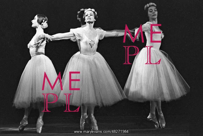 : Ballet dancers, 1978 : Ballet dancers, 1978