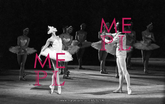 : Ballet dancers Maya Plisetskaya and Alexander : Ballet dancers Maya Plisetskaya and Alexander