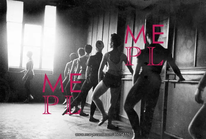  : Ballet dancers training