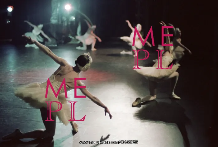 : Ballet Swan Lake : Ballet Swan Lake