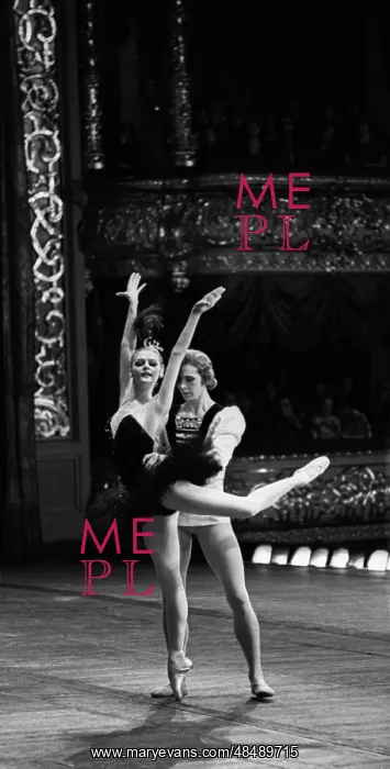 : Ballet Swan Lake : Ballet Swan Lake