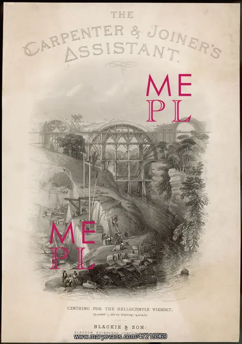 : Ballochmyle Viaduct : Ballochmyle Viaduct