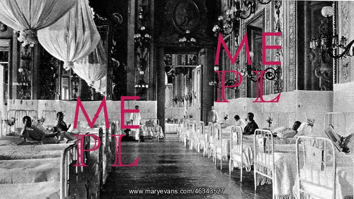 : The ballroom of the Quirinal : The ballroom of the Quirinal