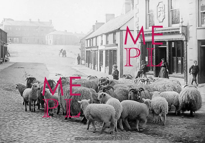  : Ballyclare early 1900s
