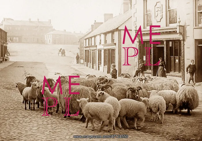  : Ballyclare, Ireland