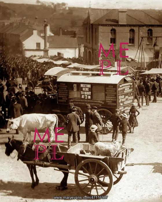  : Ballyclare May Fair in 1883