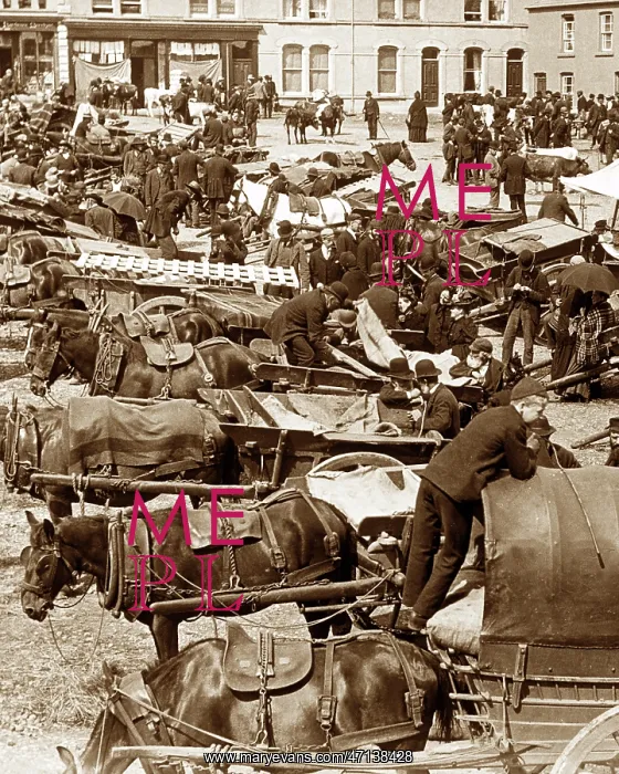  : Ballyclare May Fair in 1883
