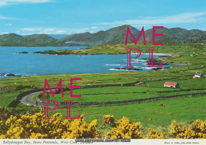 : Ballydonegan Bay, Beara Peninsula, West Cork, Ireland : Ballydonegan Bay, Beara Peninsula, West Cork, Ireland