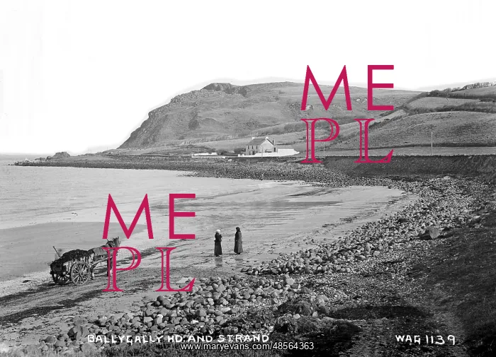 : Ballygally Hd. and Strand : Ballygally Hd. and Strand
