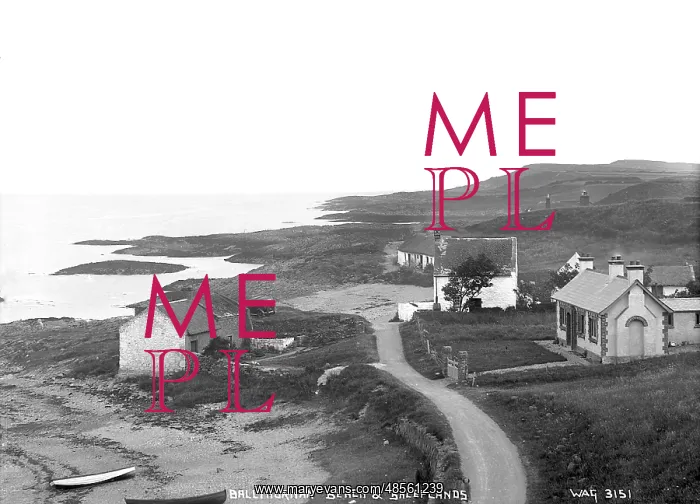 : Ballyhornan Beach and Sheeplands : Ballyhornan Beach and Sheeplands