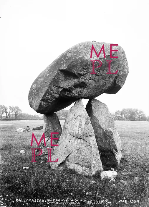  : Ballymascanlan, Cromlech, Dundalk from E