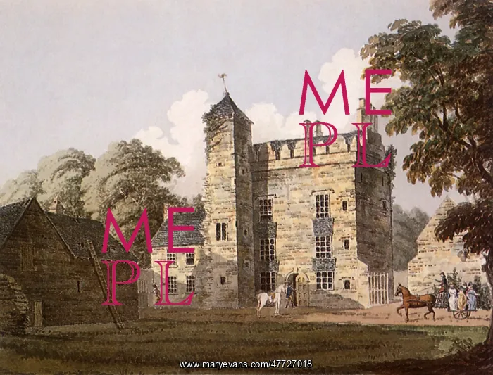  : Ballyowen Castle, Co. Dublin