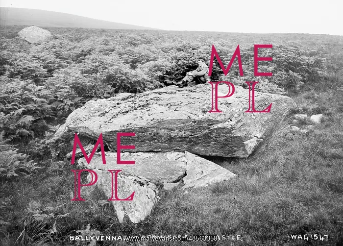 : Ballyvennaght Cromlech, Ballycastle : Ballyvennaght Cromlech, Ballycastle