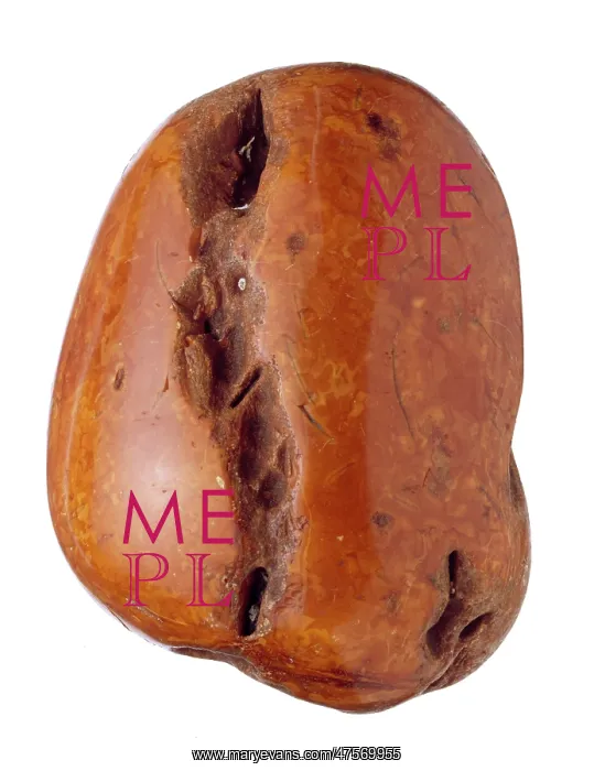 : Baltic amber : Baltic amber