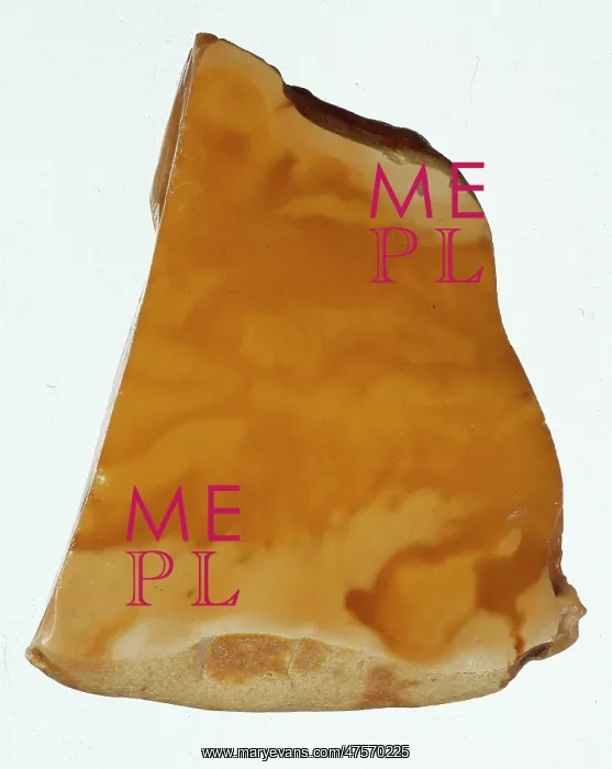 : Baltic amber : Baltic amber