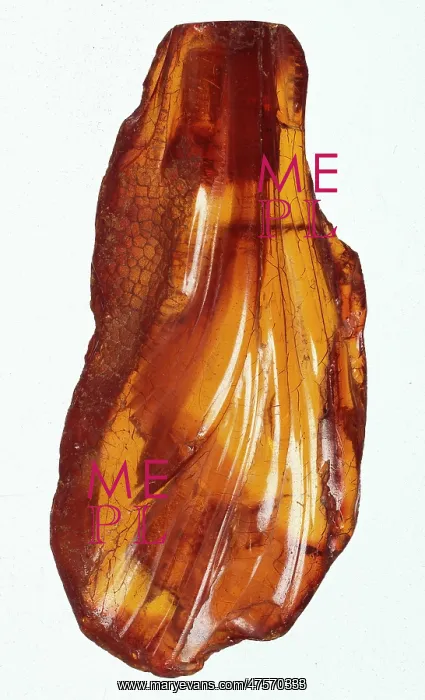  : Baltic amber