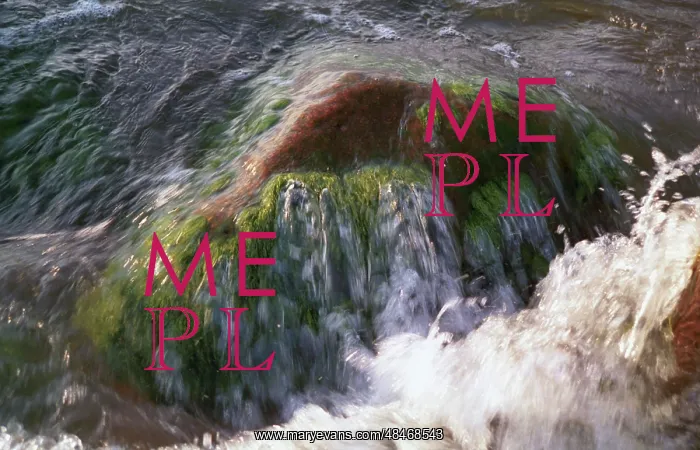 : Baltic wave, 1991 : Baltic wave, 1991