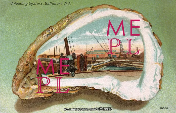 : Baltimore, Maryland, USA - Unloading Oysters : Baltimore, Maryland, USA - Unloading Oysters