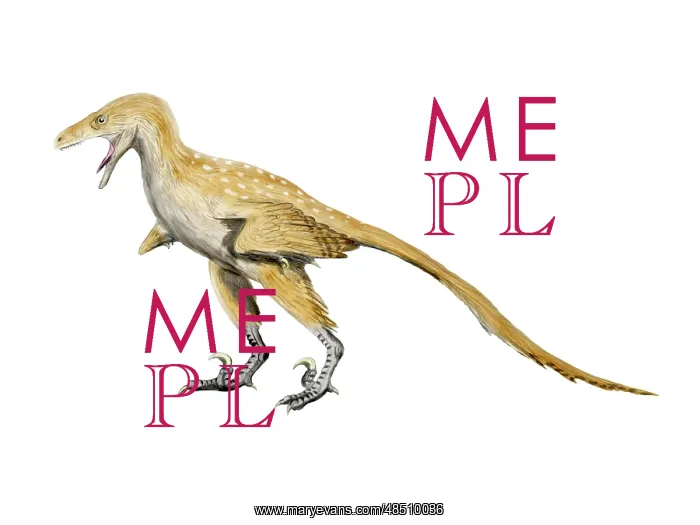 : Bambiraptor dinosaur : Bambiraptor dinosaur