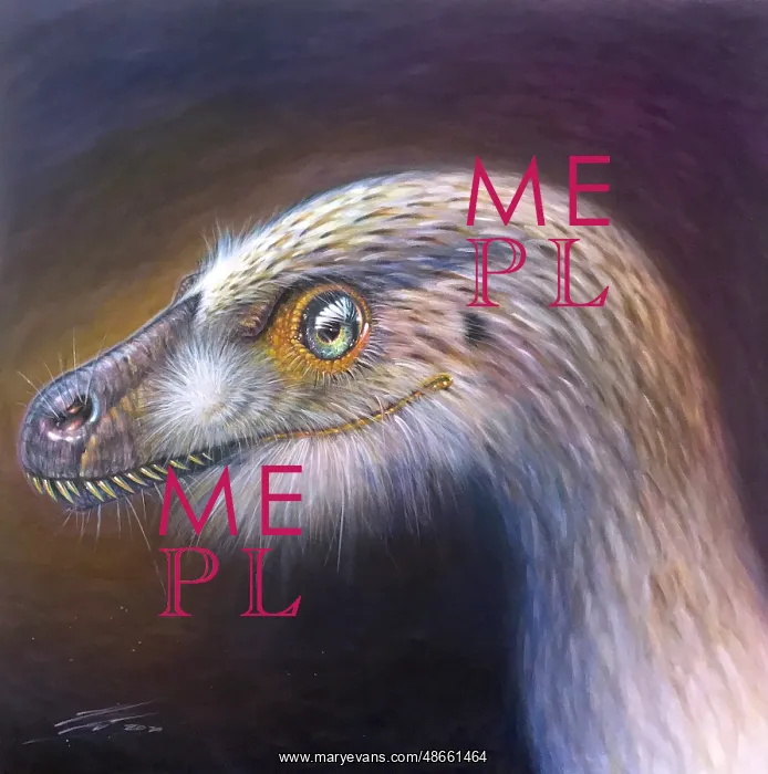 : Bambiraptor feinbergi portrait : Bambiraptor feinbergi portrait