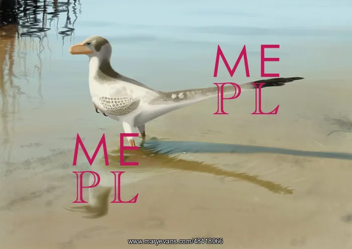  : Bambiraptor feinbergi standing in shallow water