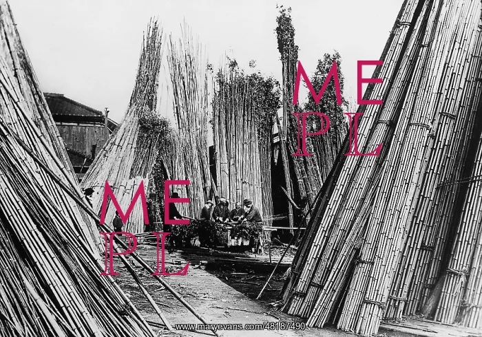 : Bamboo depot, 1930 : Bamboo depot, 1930
