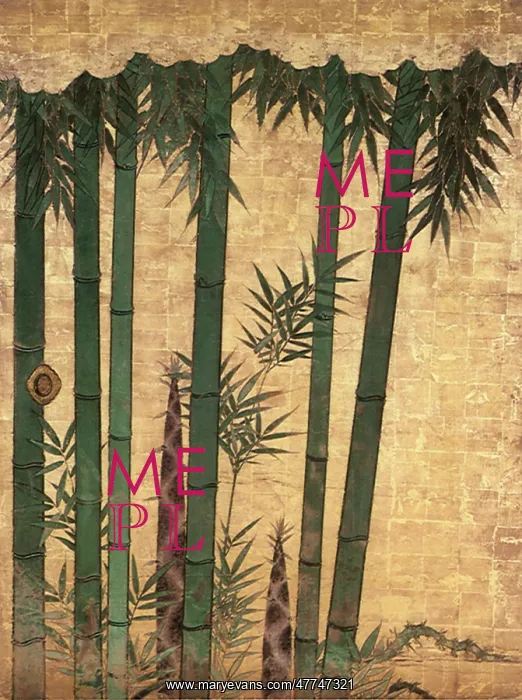  : Bamboo Grove