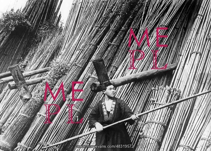 : Bamboo merchant in Japan, 1930 : Bamboo merchant in Japan, 1930