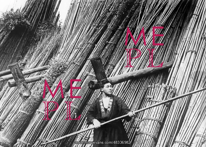 : Bamboo merchant in Japan, 1930 : Bamboo merchant in Japan, 1930