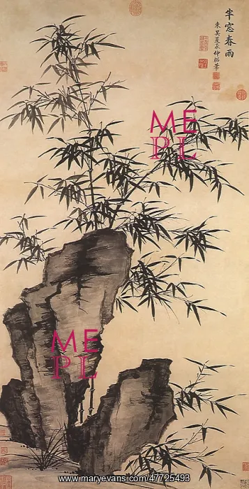  : Bamboo on Rocks