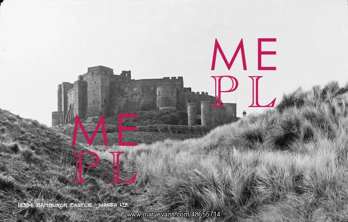 : Bamburgh Castle : Bamburgh Castle