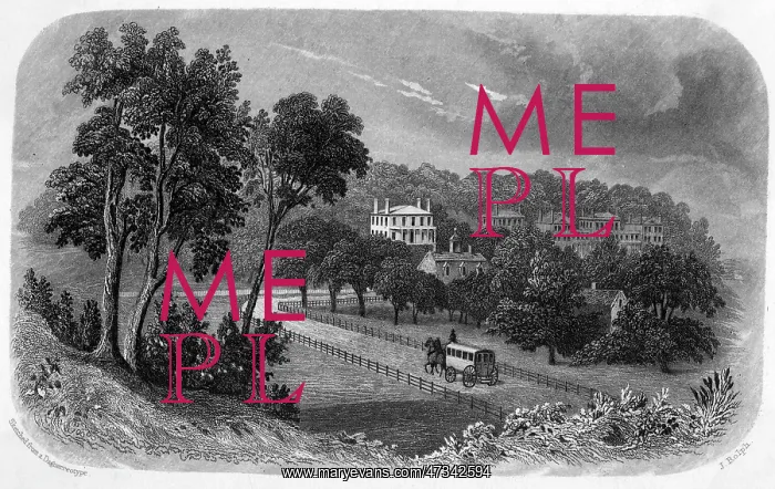 : BANCROFT'S HOME : BANCROFT'S HOME