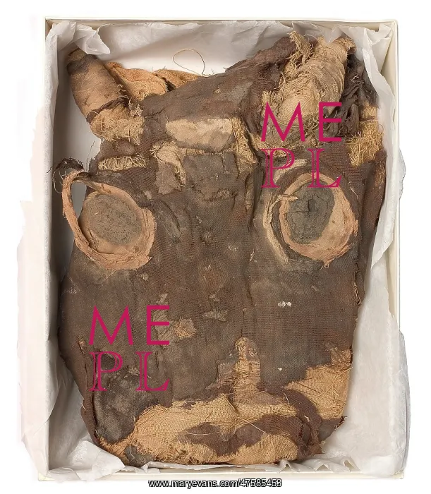  : Bandages from a calf mummy