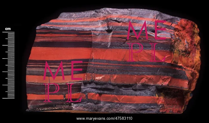 : Banded iron specimen : Banded iron specimen