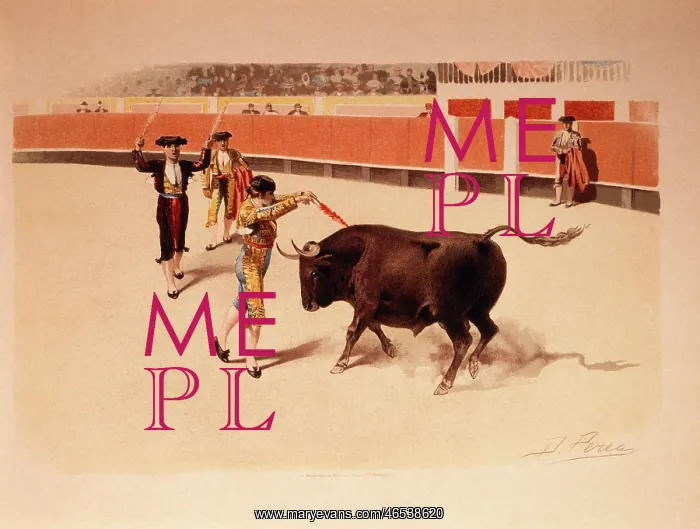 : Banderillear al Cuarteo - Bull Fighting : Banderillear al Cuarteo - Bull Fighting