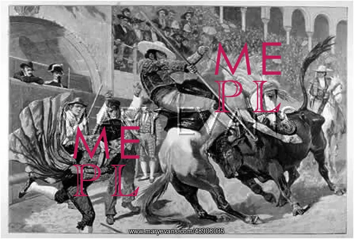: BANDERILLERO ATTACKED : BANDERILLERO ATTACKED