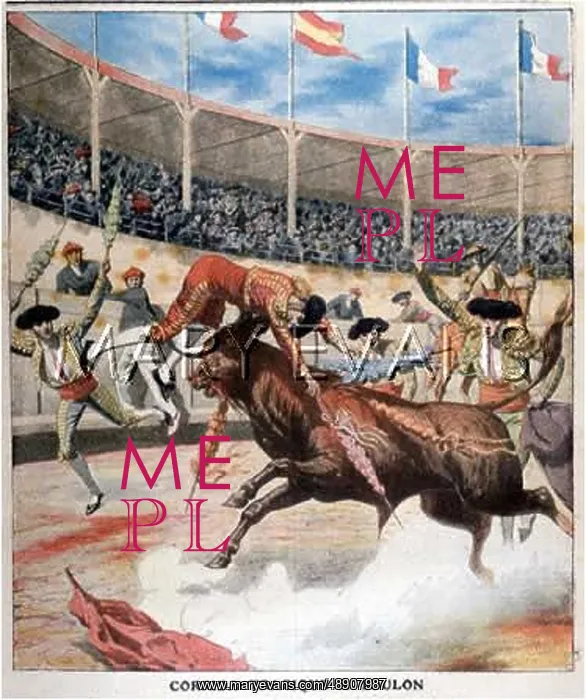 : BANDERILLERO GORED : BANDERILLERO GORED