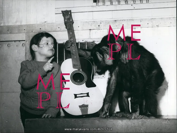 : Bands - Composers - Instruments - Musicians : Bands - Composers - Instruments - Musicians