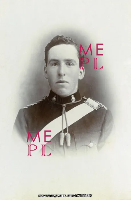 : Bandsman of 7th Queen's Own Hussars : Bandsman of 7th Queen's Own Hussars