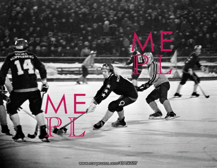 : Bandy European Champions Cup : Bandy European Champions Cup