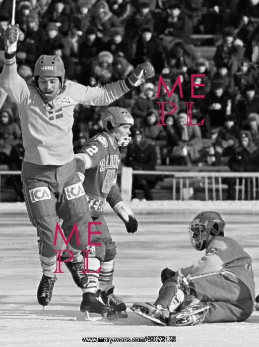 : Bandy World Championship : Bandy World Championship