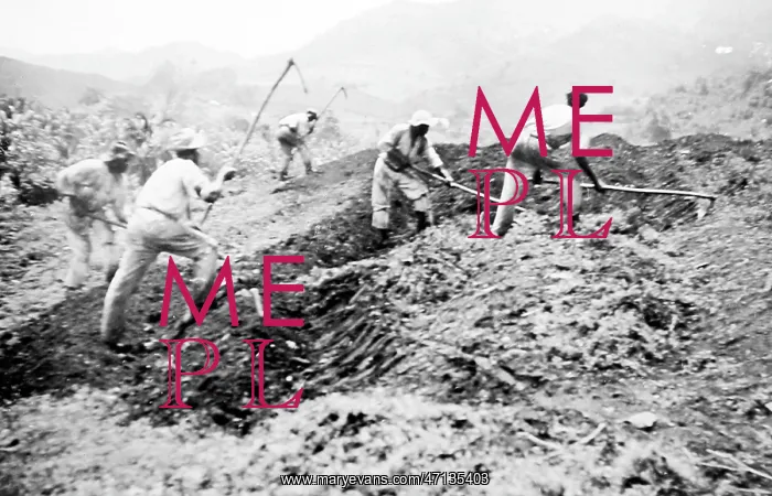  : Banking sand in St Vincent early 1900s