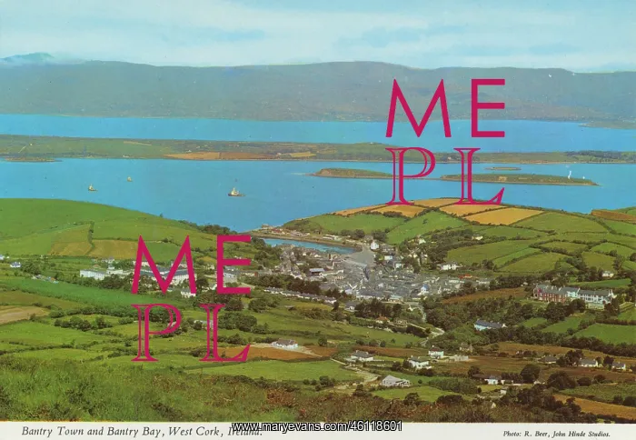 : Bantry Town and Bantry Bay, West Cork, Republic of Ireland : Bantry Town and Bantry Bay, West Cork, Republic of Ireland