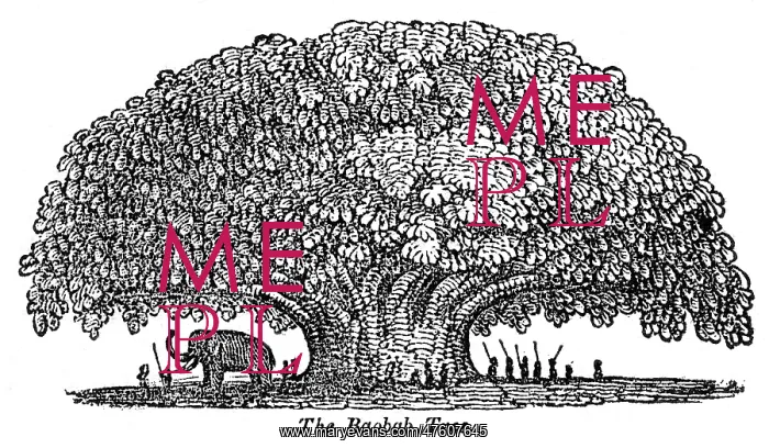  : Baobab tree and elephant